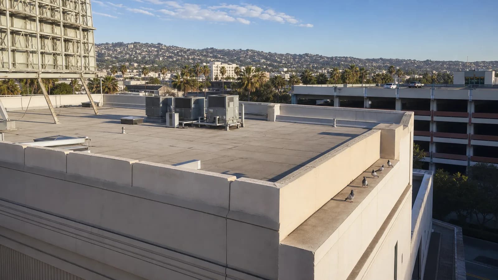 AI-generated Los Angeles planning illustration of pigeons on a commercial roof near HVAC, a sign structure, and parking